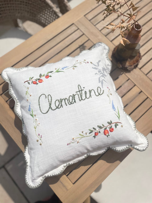 The Clementine
